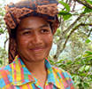 Sumatra Lake Tawar from Green Mountain Coffee
